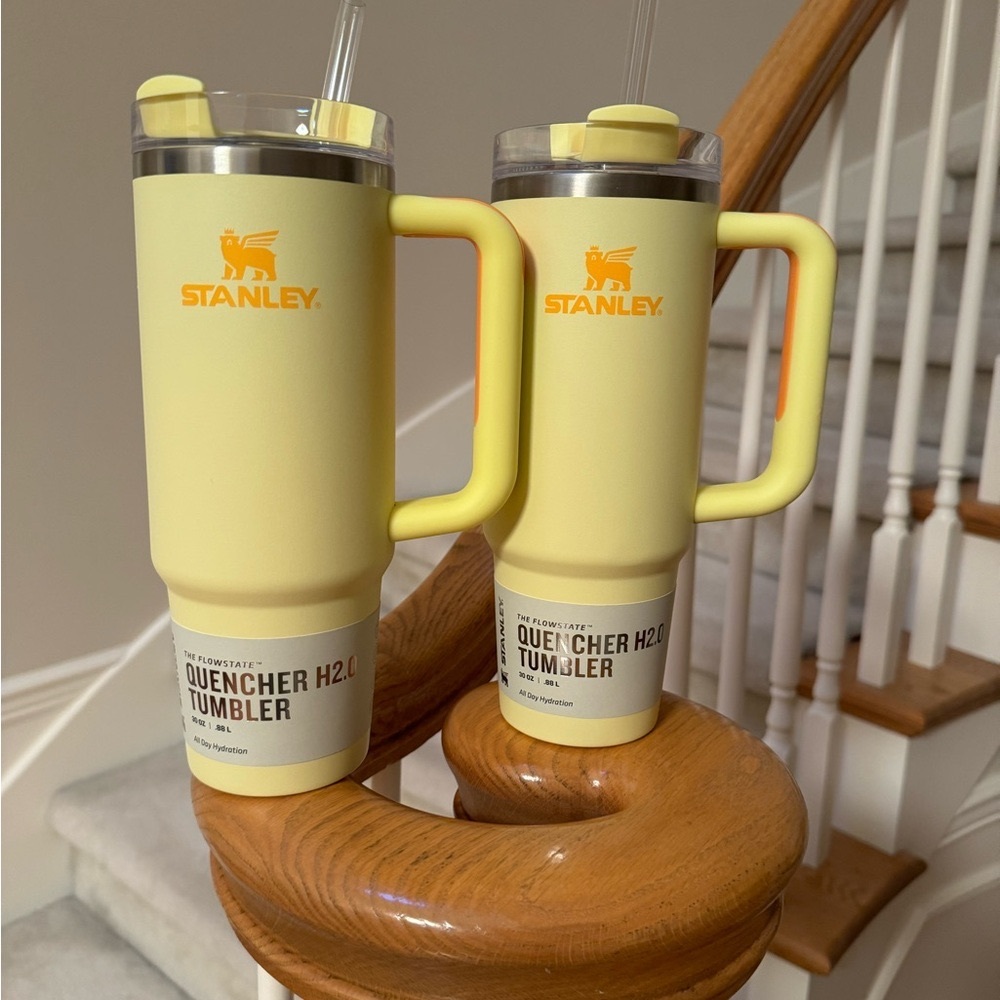 Brand New Stanley+Target Sunshine 30oz fresh from Target Store as of May. 29th